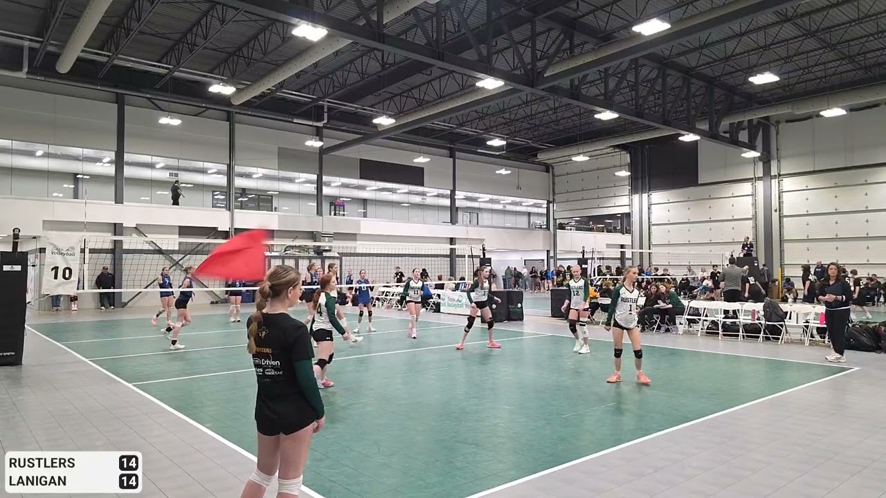 Rustlers Gold vs Lanigan