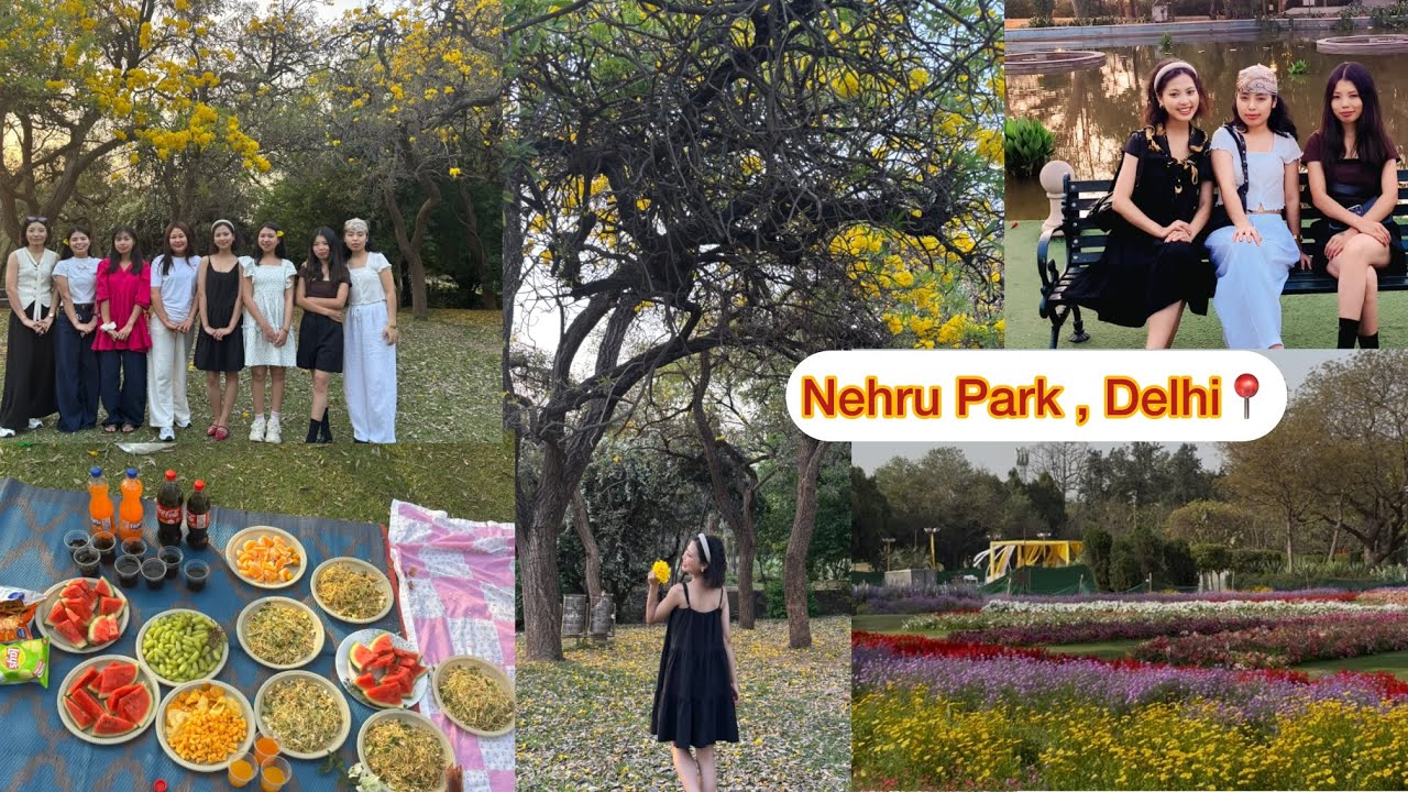 Blossoming Beauty at Nehru park##📍🌼💚”