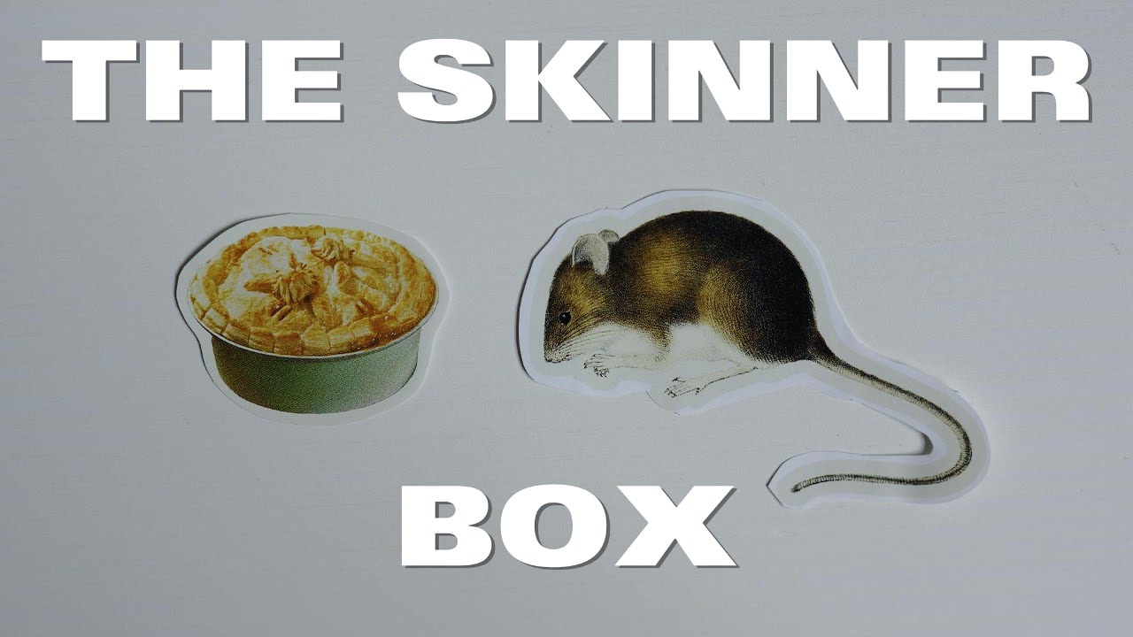 Исследовательский эксперимент, который избавил меня от необходимости прокручивать страницу (и пом...