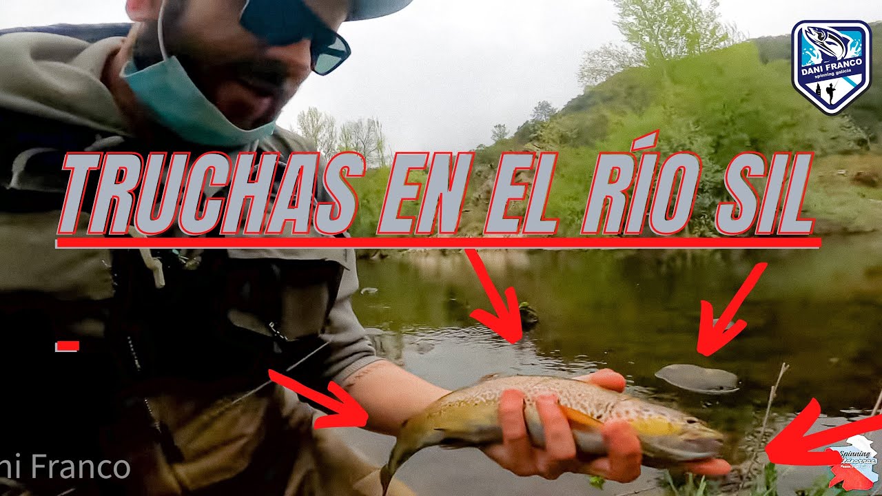 PESCA DE TRUCHAS (spinning) rapala cd7 y basday spm