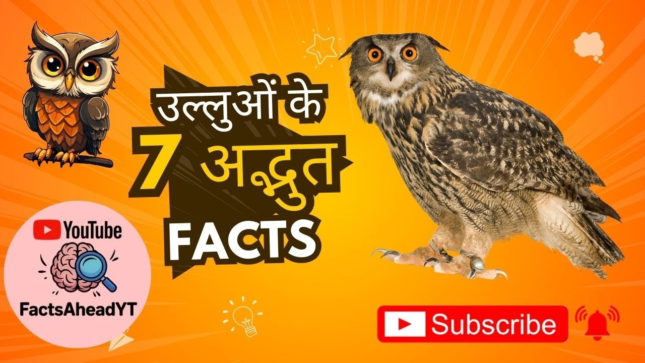 उल्लुओं के 7 अद्भुत FACTS