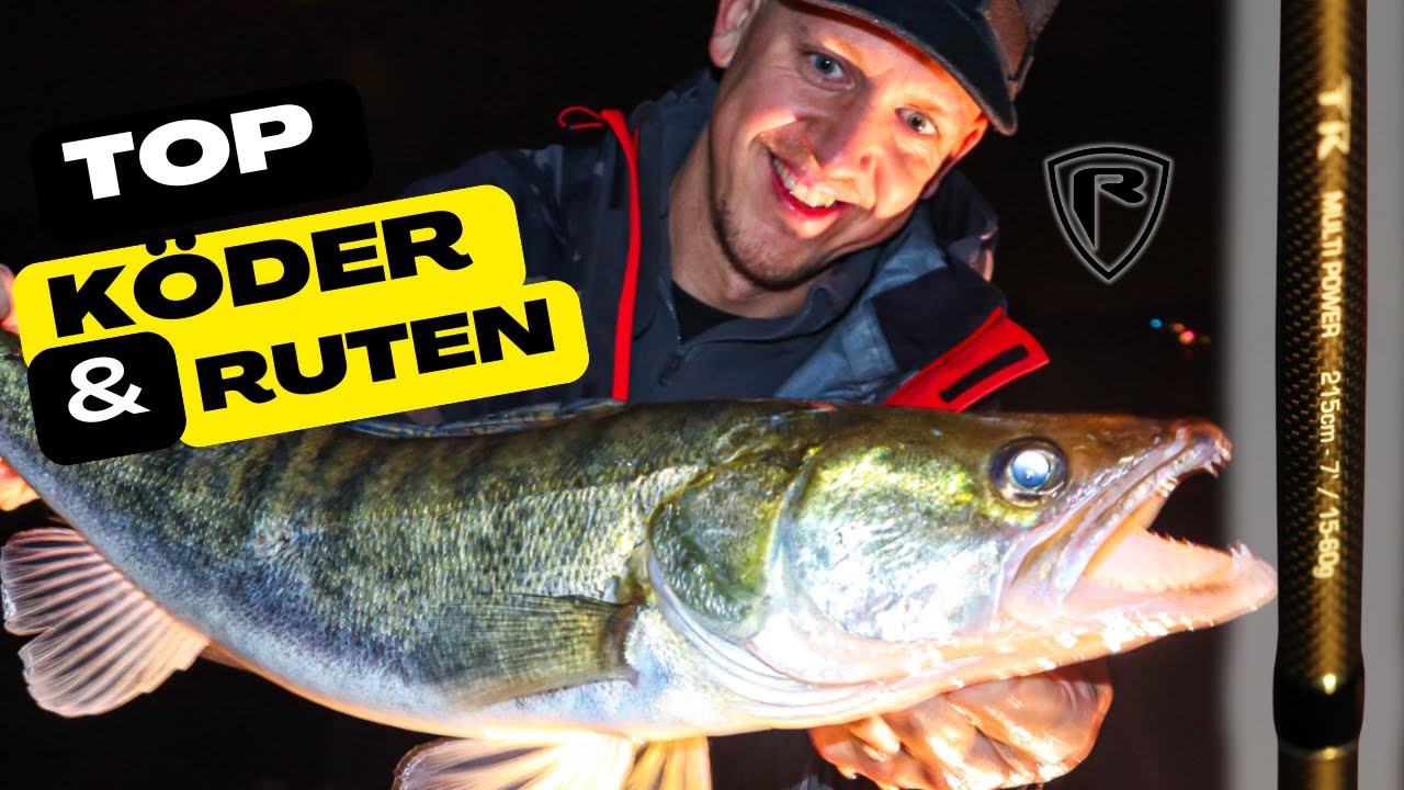 Zanderangeln im Herbst am Rhein | Top K&ouml;der und die neuen TR Ruten im Test! 🔴