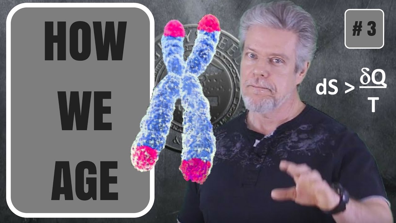 #3: How We Age