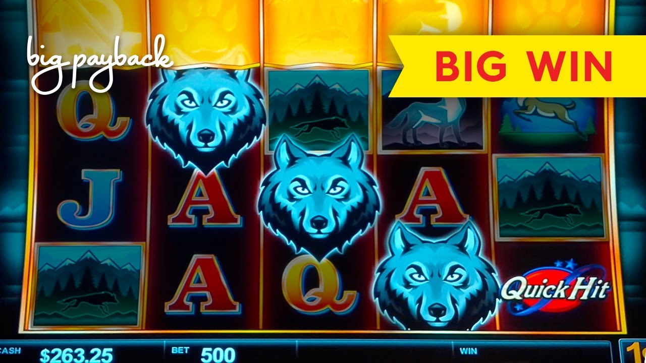 WOW, WHAT A BONUS! Quick Hit Wolf Mountain Slot - BIG WIN!