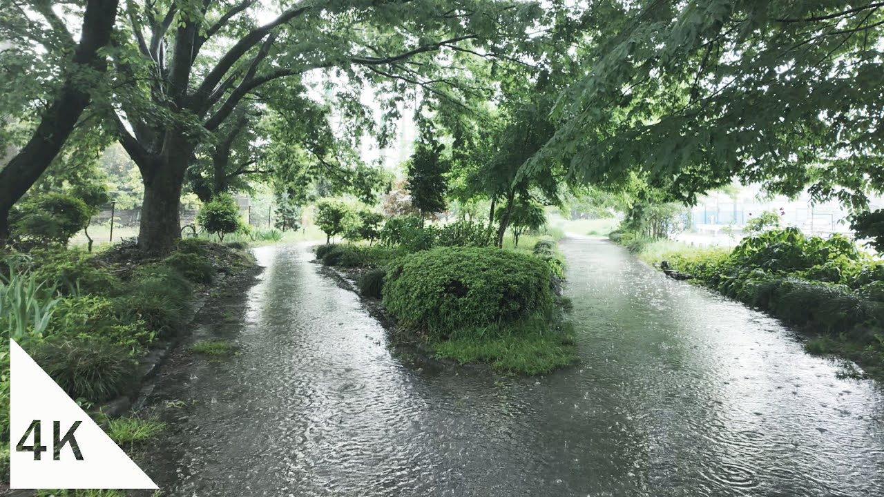 【4K】Tamagawa Josui Walk (7) - From Tamagawa Josui Station to Haijima Station in the rain - Tokyo