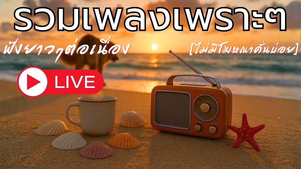 🔴LIVE รวมเพลงเพลงเพราะ ฟังสบาย GCM-Good Coffee Music 24 ชั่วโมง