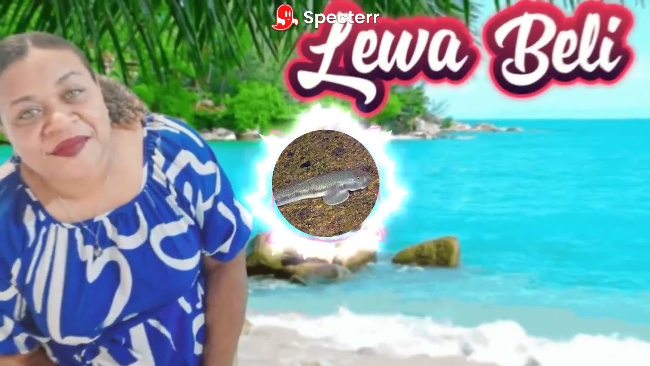 Cakau ni Sici (Lewa Beli) Tu Tabau edit