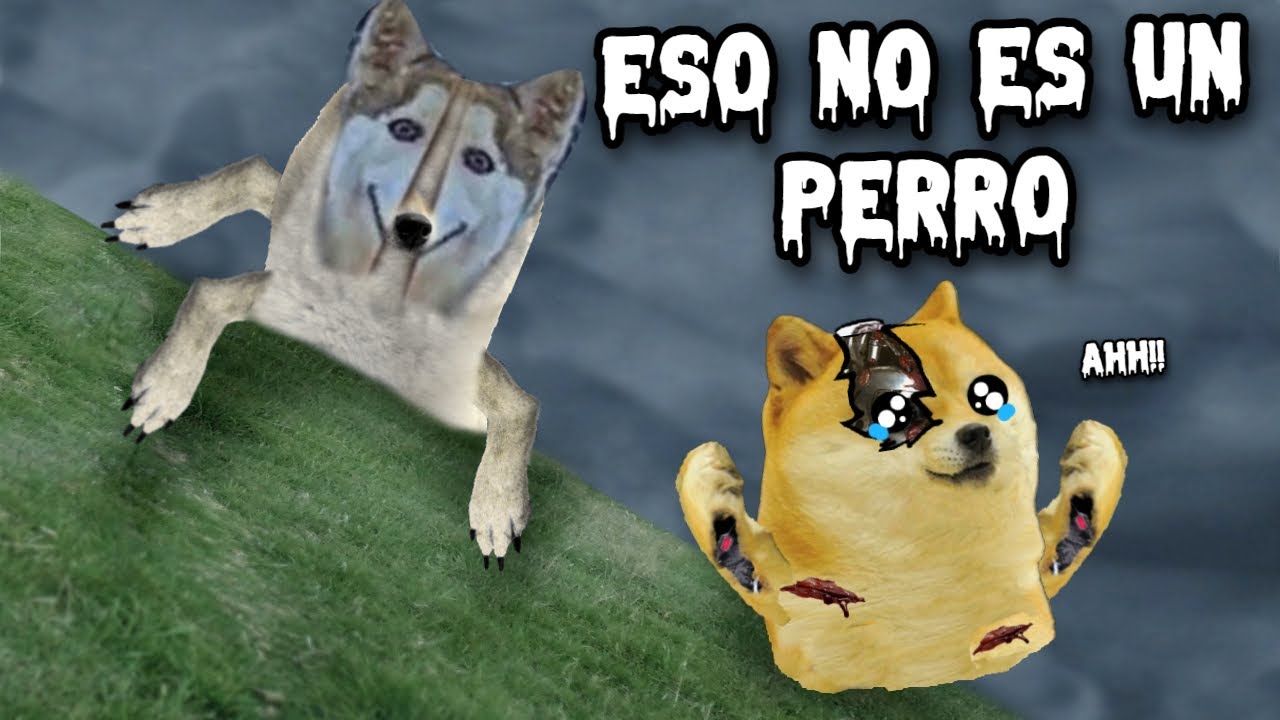 ESA COSA NO ES MI PERRO, NO LE ABRAS - Hilos con cheems