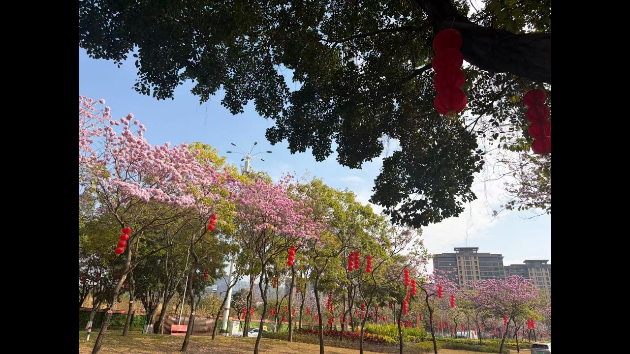 一曲《花妖》，祝有情人终成眷属！