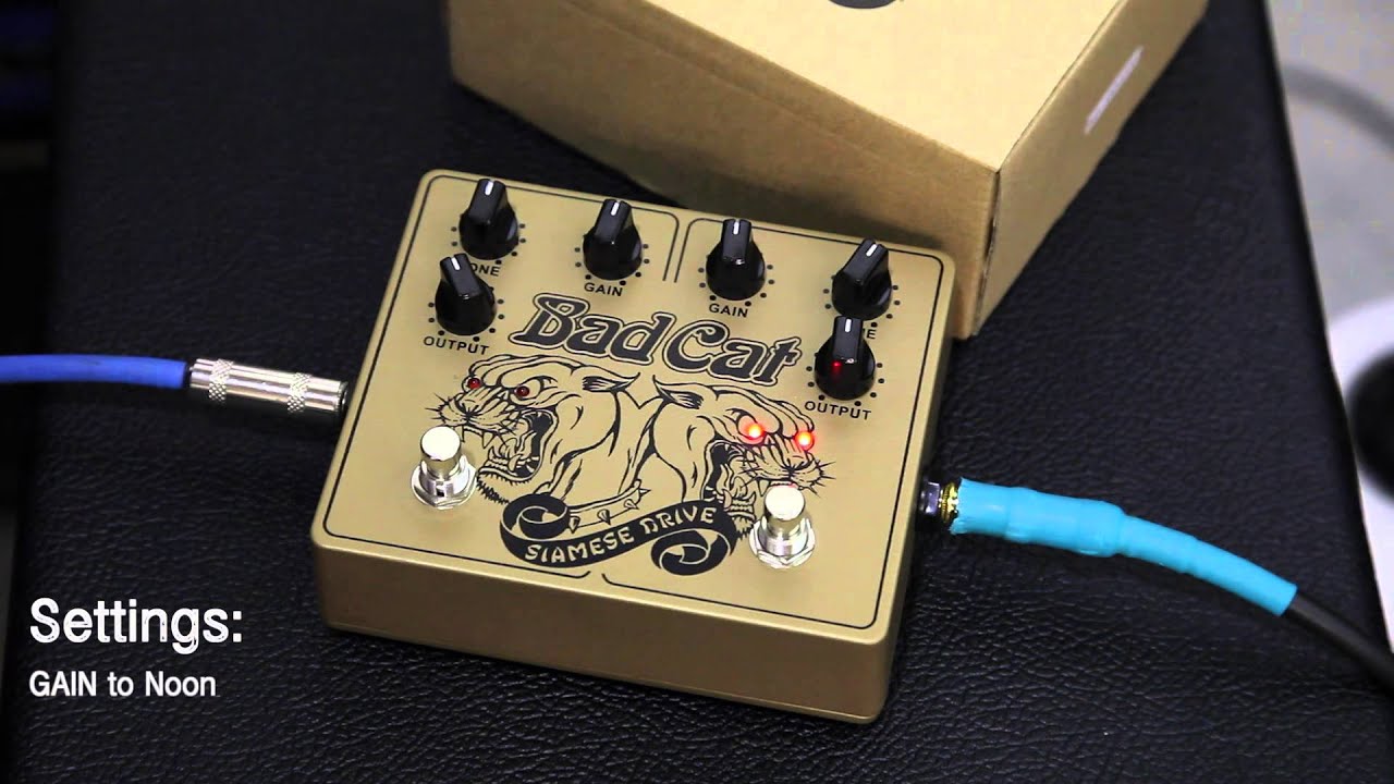 Bad Cat Siamese Drive Pedal