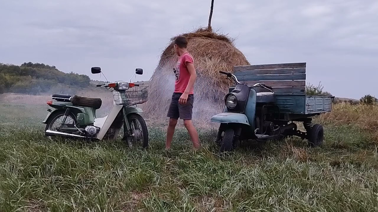 муравей, мопед кінець літа