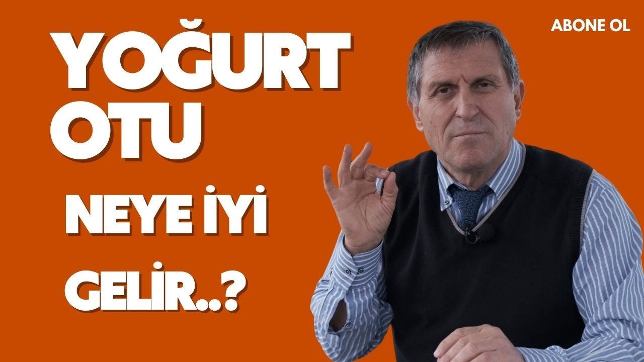 YOĞURT OTUNUN FAYDALARI YOĞURT OTU ÇAYI NASIL YAPILIR NASIL İÇİLİR NEYE YARAR