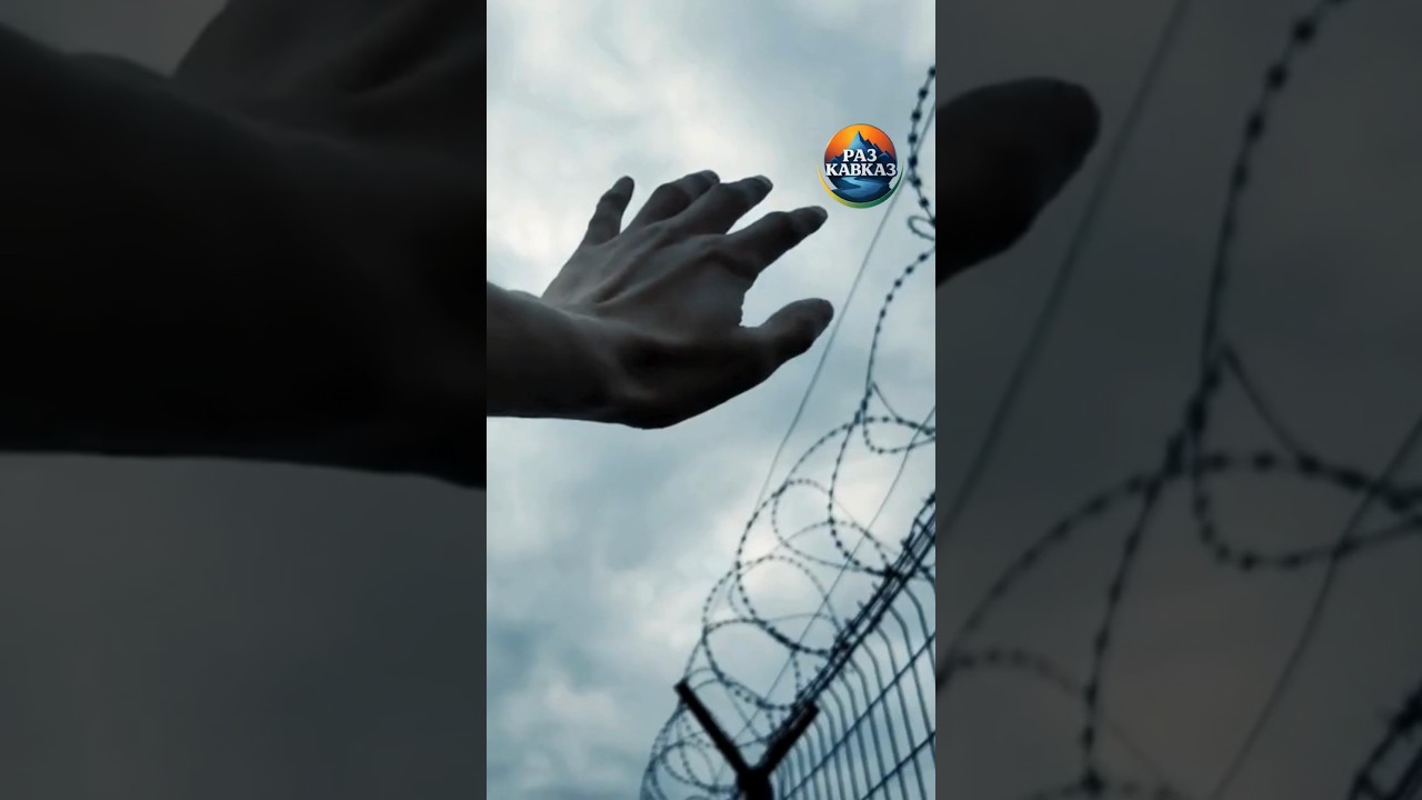 Давление на диаспоры или закон?
