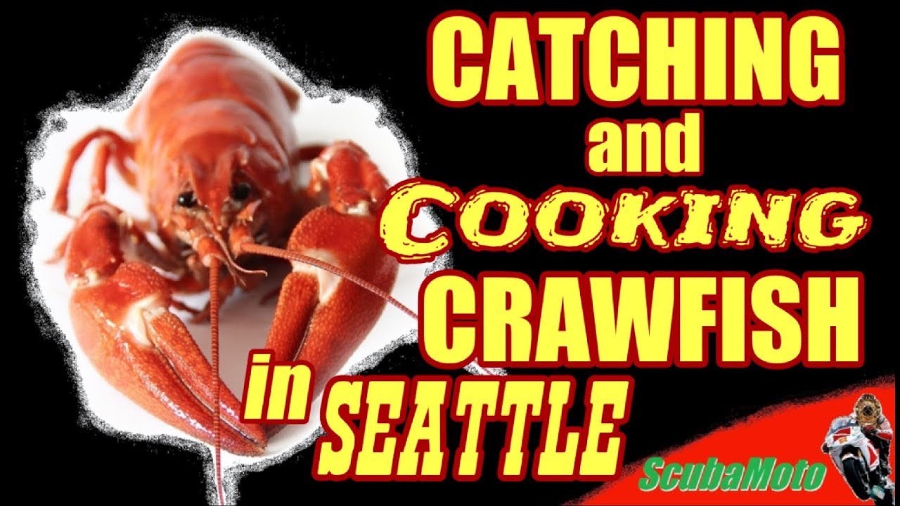 Catch N' Cook Crayfish Crawfish in Seattle Washington