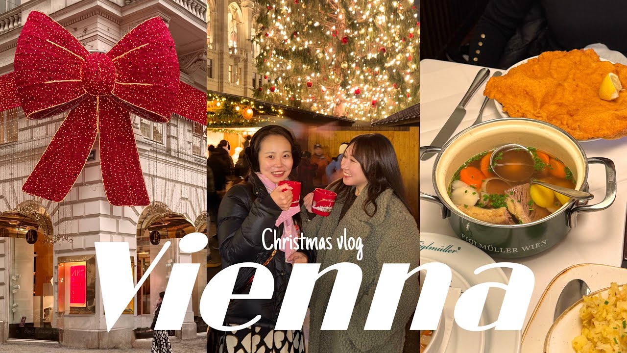 [vlog] Christmas Season in Vienna | Christmas Market, Schnitzel, Cafe Sacher, Palace