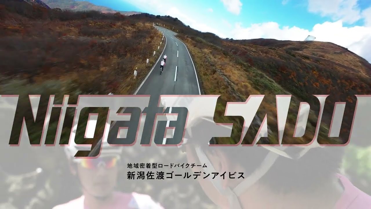 GoldenIBIS Promotion video