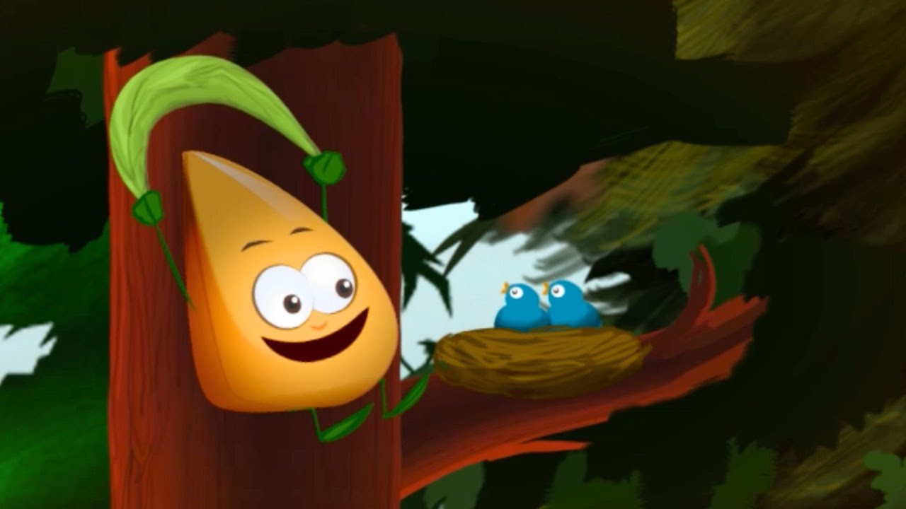 Dal seme alla pianta | Tutti i cartoni animati delle Avventure di Sem piccolo seme