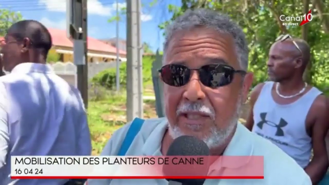 Guadeloupe  Mobilisation des planteurs de canne