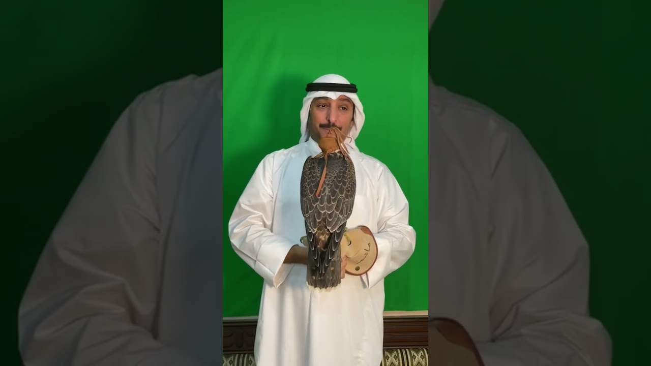 فرخ شاهين 2021/11/2