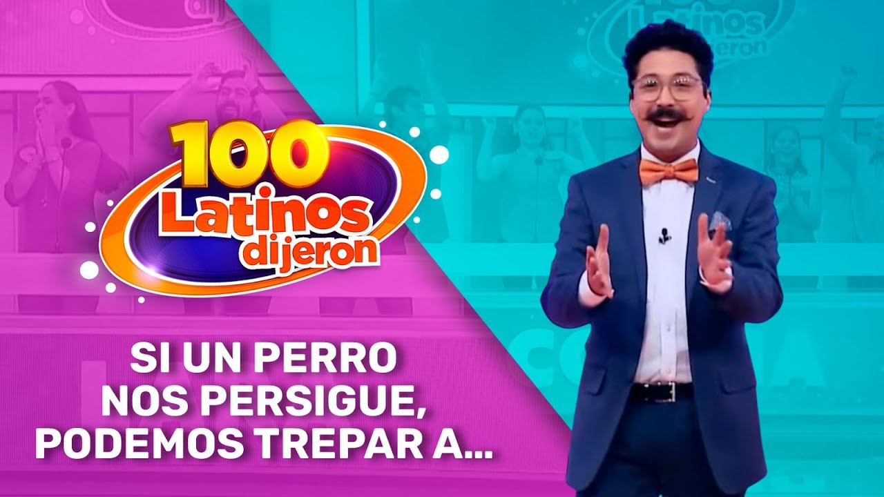 Si Un Perro Nos Persigue, Podemos Trepar A… | 100 Latinos Dijeron