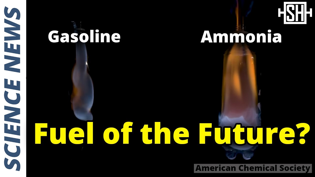 The Next Clean Fuel Hype: Ammonia