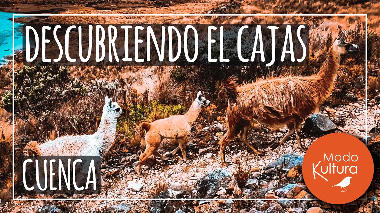 👉⛰ Laguna la Toreadora y Lagunas Unidas en el parte nacional El Cajas, provincia del Azuay Ecuador👍