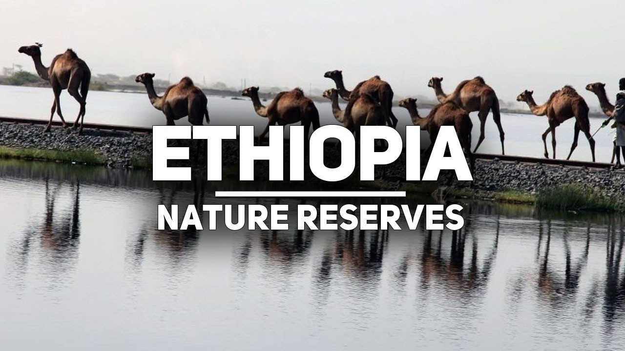 ETHIOPIA: A Story Carved in Stone, Nature and Wonders
