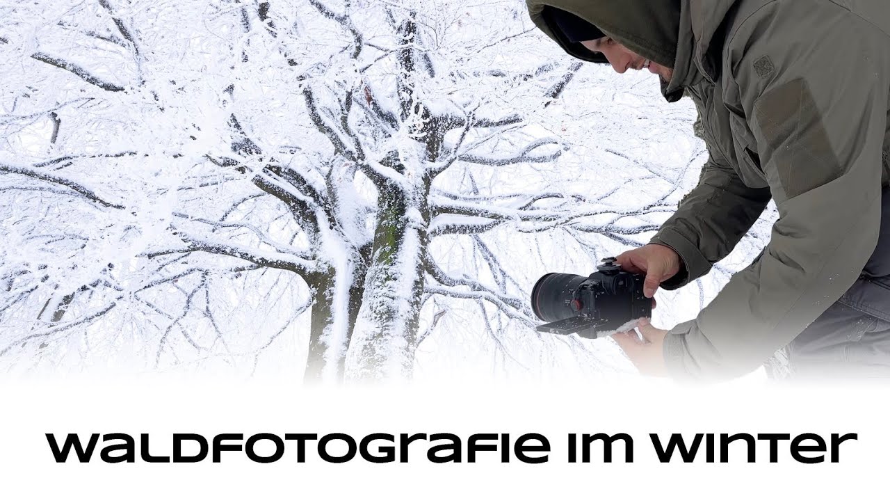 Waldfotografie im Winter - Naturfotografie Tutorial