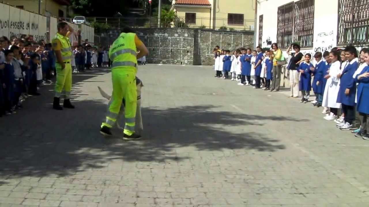 Dimostrazione Unità cinofila Protezione Civile per la scuola elementare