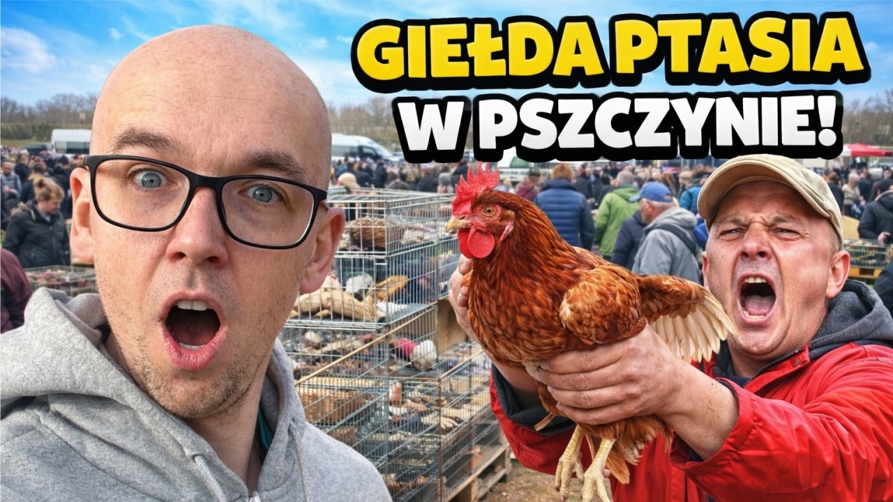 Nie każdy chce być nagrywany&hellip; Giełda ptak&oacute;w od kuchni