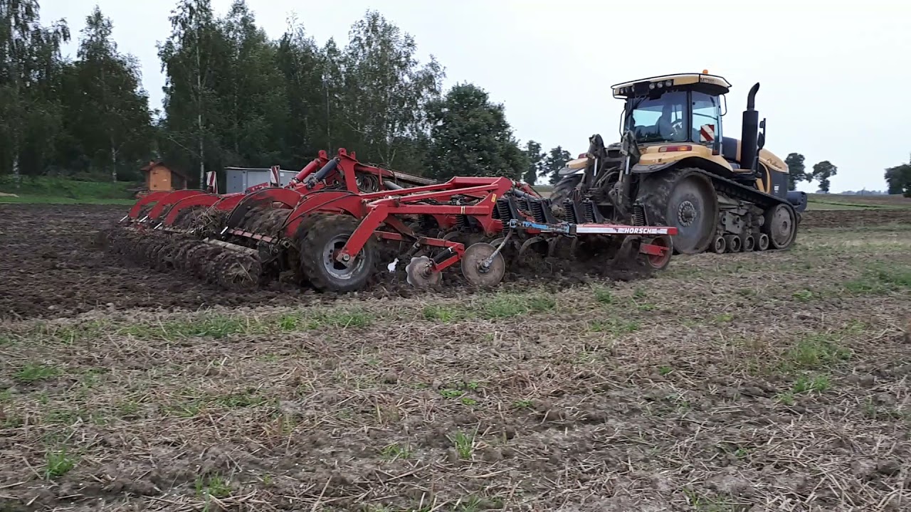 Challenger MT plus Horsch Tiger 8