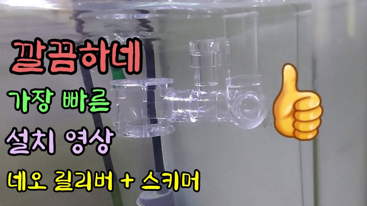 네오플로우 네오릴리버, 네오스키머 설치 _오란다 난주 수조(60cm goldfish aquarium, neo flow, neo skimmer, neo reliever)