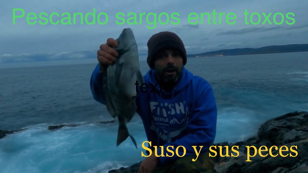 Pescando sargos entre TOXOS