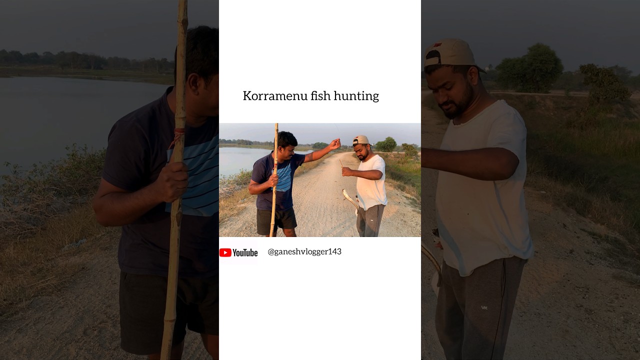 korramenu fish catching telugu#fish #telugushorts #telugu #trending #villagelife