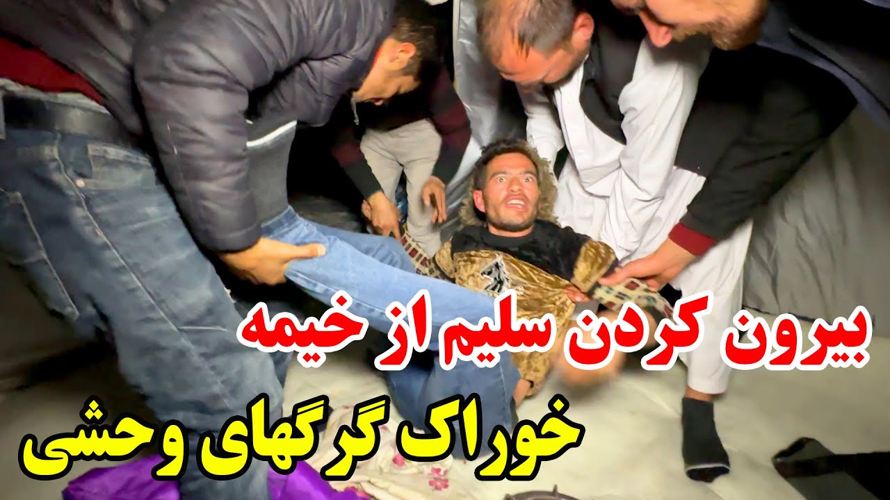 آخرین سفر برفی - سلیم در نصف شب خوراک گرگ های وحشی شد