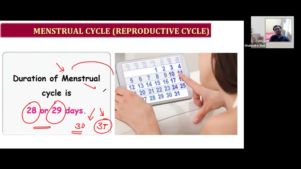 HUMAN REPRODUCTION 12 JUNE   MENSTRUAL CYCLE | CLASS12 | XCHANGE INOS | S.SONI SIR