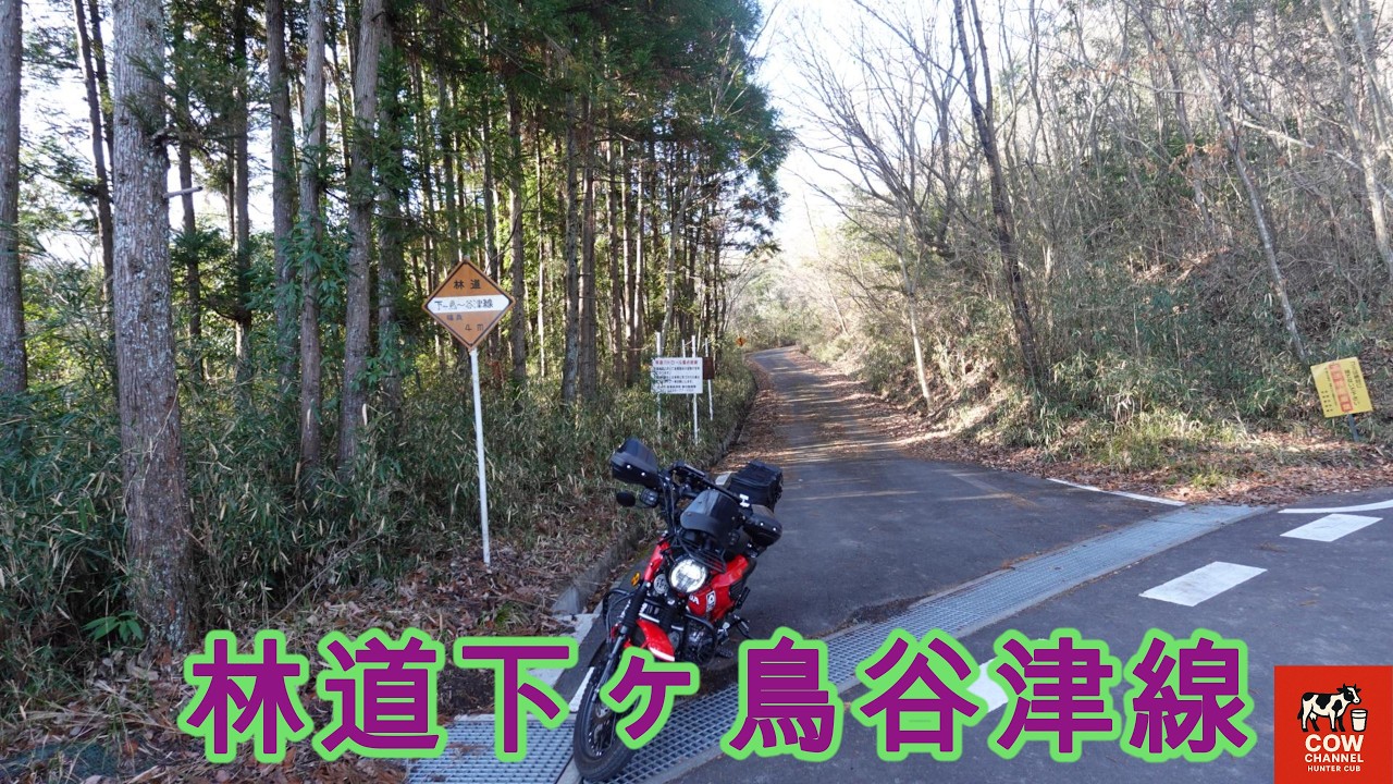 【COW】林道下ヶ鳥谷津線