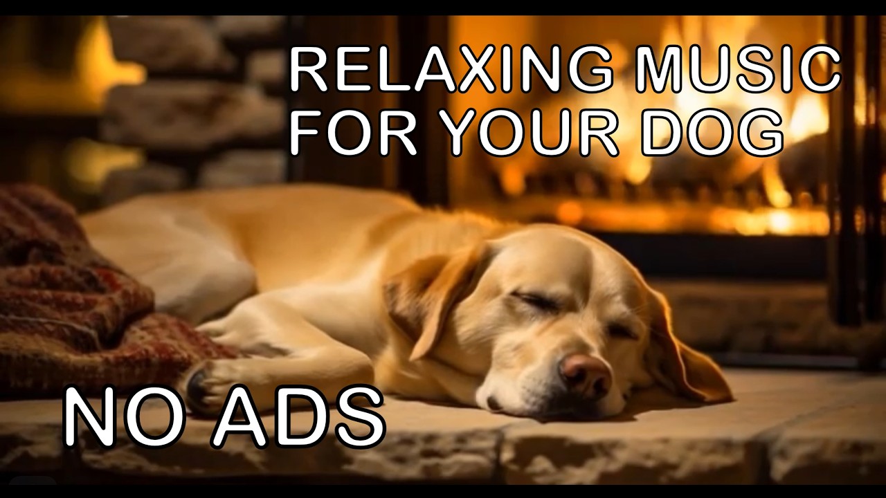 🐶 10 HOURS of Deep Sleep Music for Dogs | Anti-Separation Anxiety & Stress Relief 🐾
