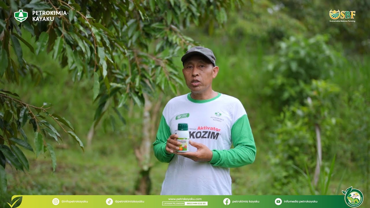 Testimoni Penggunaan WOKOZIM di Komoditas Durian