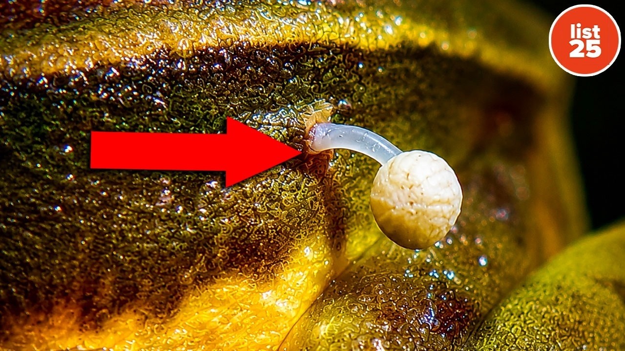 25 Things That Make Scientists Question Reality Itself