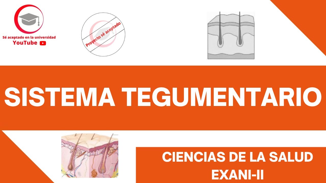 SISTEMA TEGUMENTARIO (ESTRUCTURA Y FUNCIONES BÁSICAS) | CIENCIAS DE LA SALUD | EXANI-II 2024