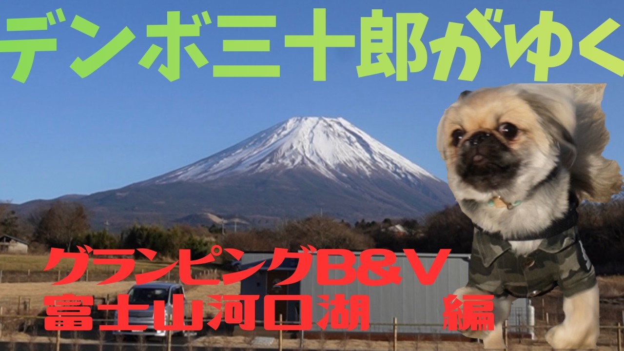 【富士山近い】犬と泊まれるグランピングが最高すぎた。