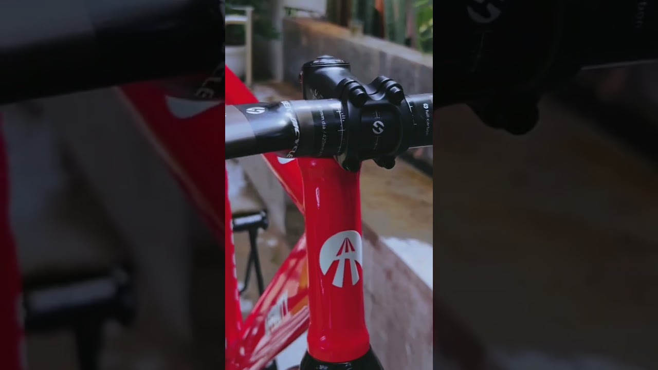 Affinity kissena fixgear