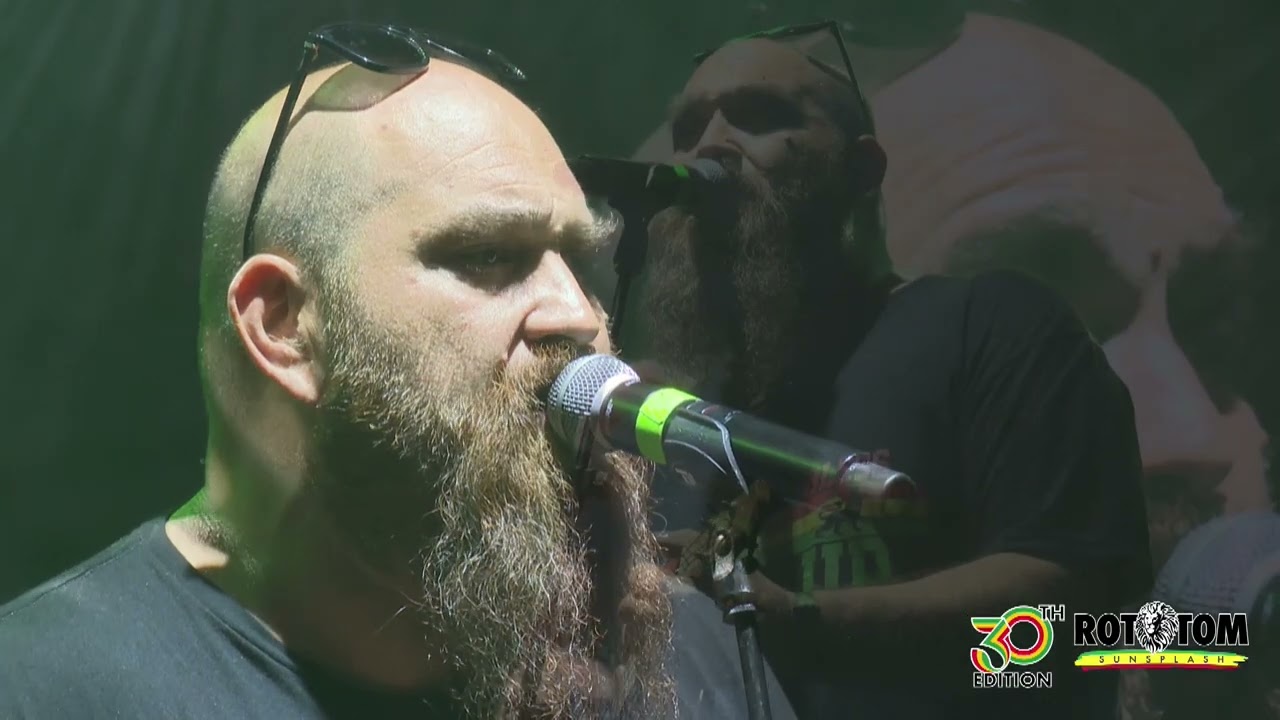 GILLO live @rototom #lionstage #ukulele 2025 #guavajelly #canthelpfallinginlovecover #tribute