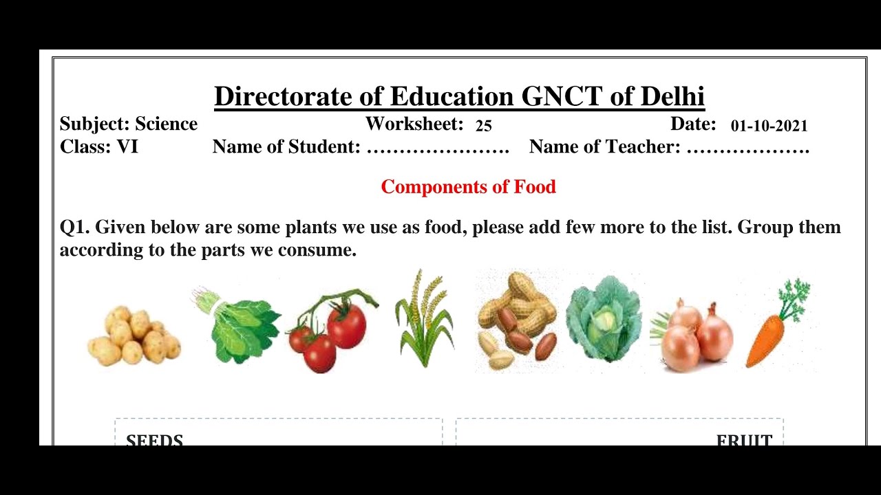 WORKSHEET 25 CLASS 6 SCIENCE (ENGLISH MEDIUM) FRIDAY 1 OCTOBER 2021||(01/10/2021)