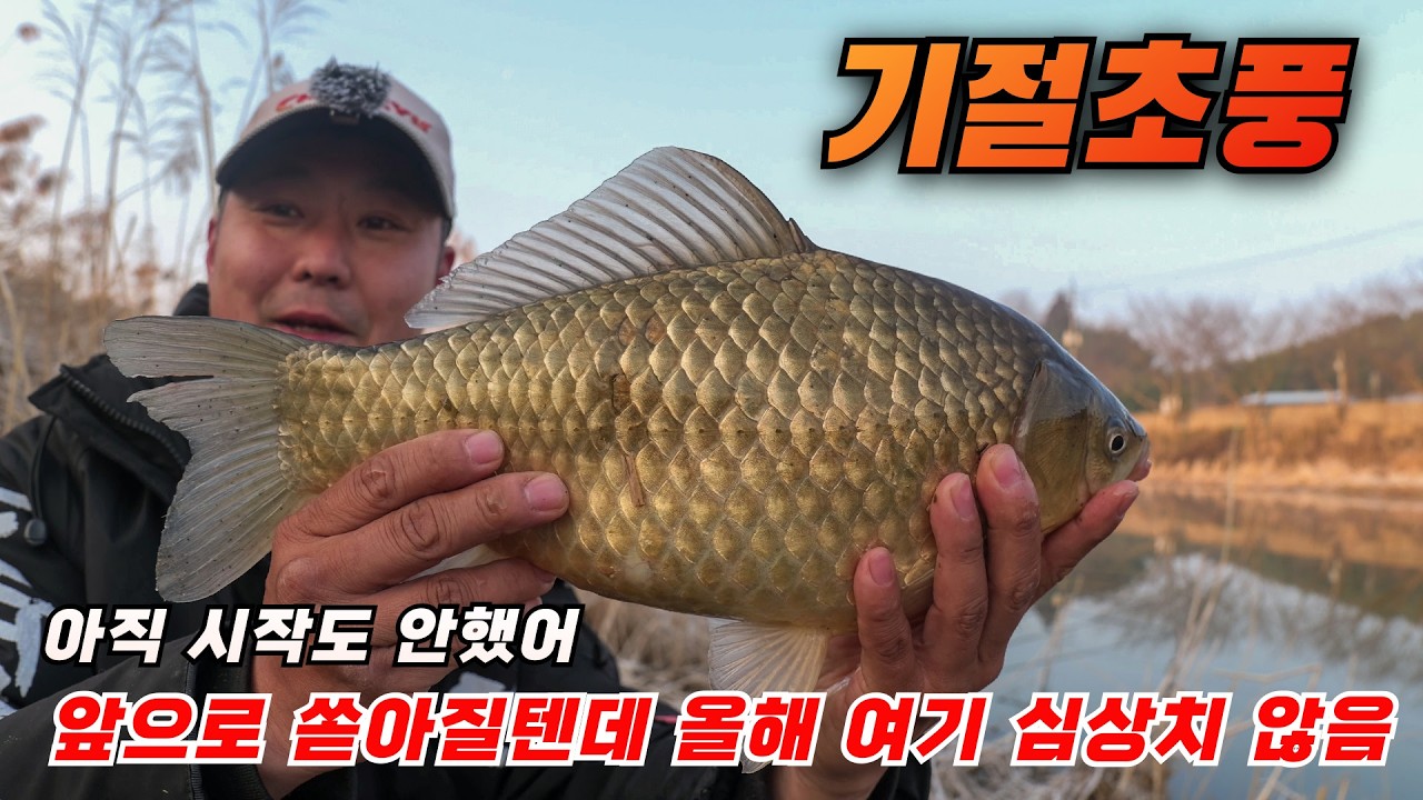아직 시작도 안한곳인데 올해 폭발 예감 대박이다 대박 #미라클스토리 #전자찌