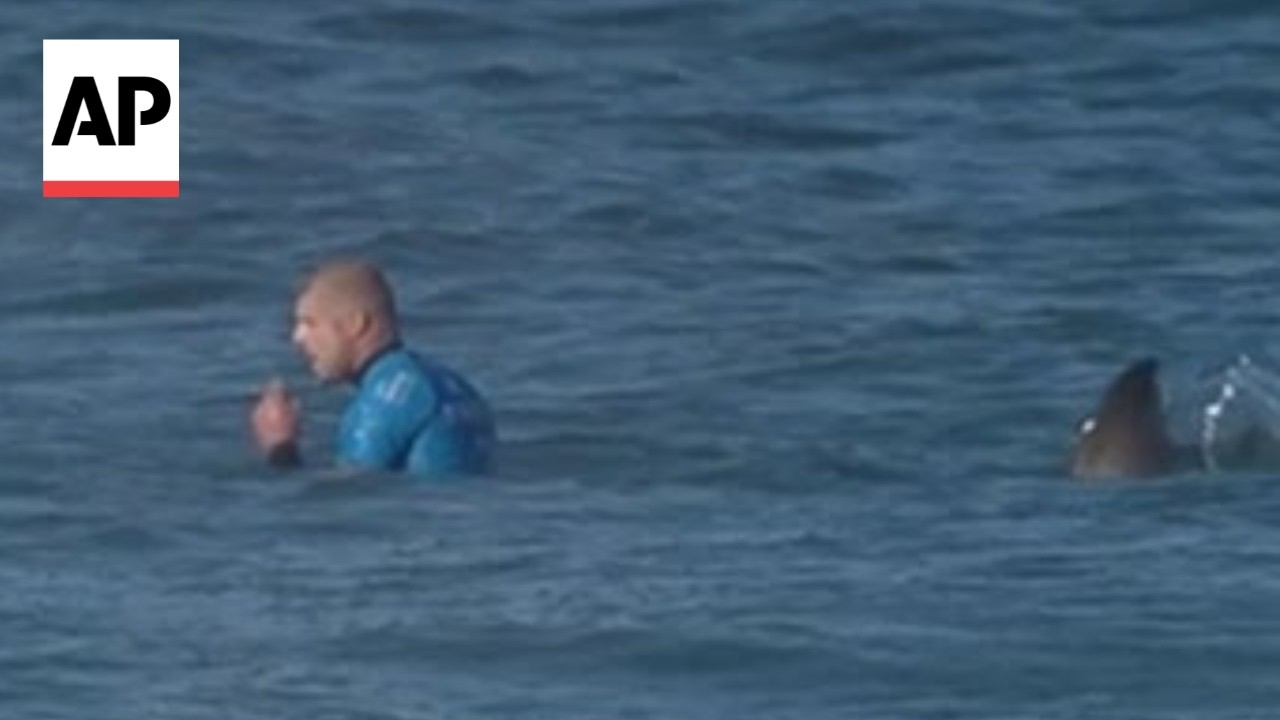 Surfer fights off shark during competition: 'I was swinging and screaming'