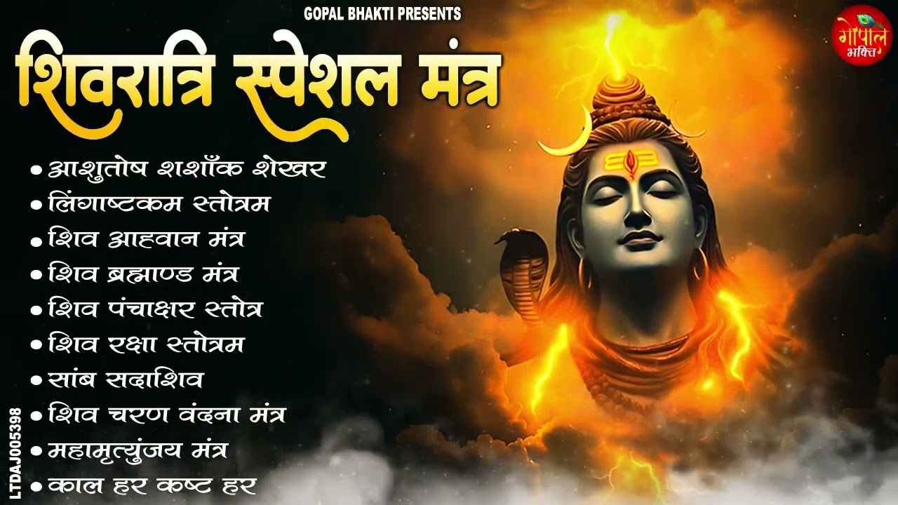 शिवरात्रि स्पेशल  - शिव ब्रह्माण्ड मंत्र | लिंगाष्टकम स्त्रोत्रं | शिव आह्वान मंत्र | Shivratri 2026