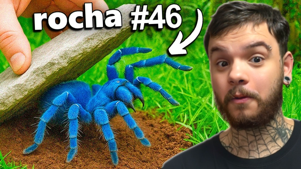 Virando 100 ROCHAS em uma FLORESTA TROPICAL (só bicho sinistro) - TerraVerde (Português)