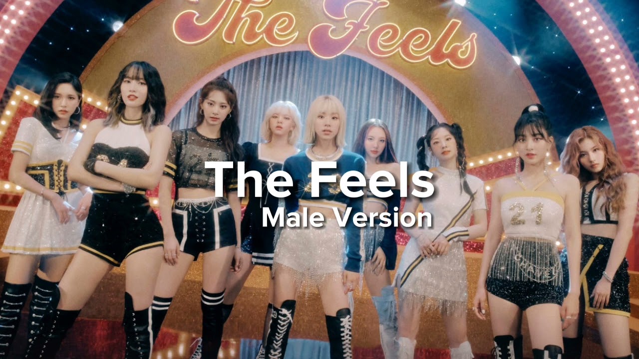TWICE - The Feels (Male Version)